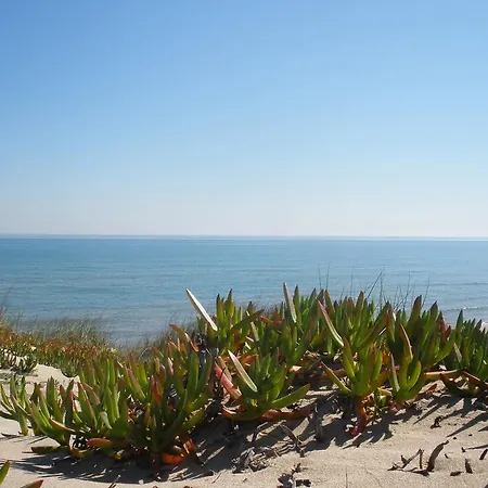 Alqueria De Vilches Hotel Cullera